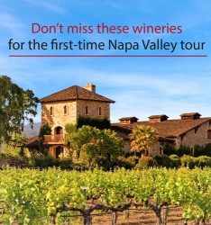 Don’t miss these wineries for the first-time Napa Valley tour